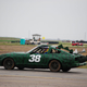 Illustration for article titled The 24 Hours Of LeMons Texas Gator-O-Rama Über Gallery: The Japanese